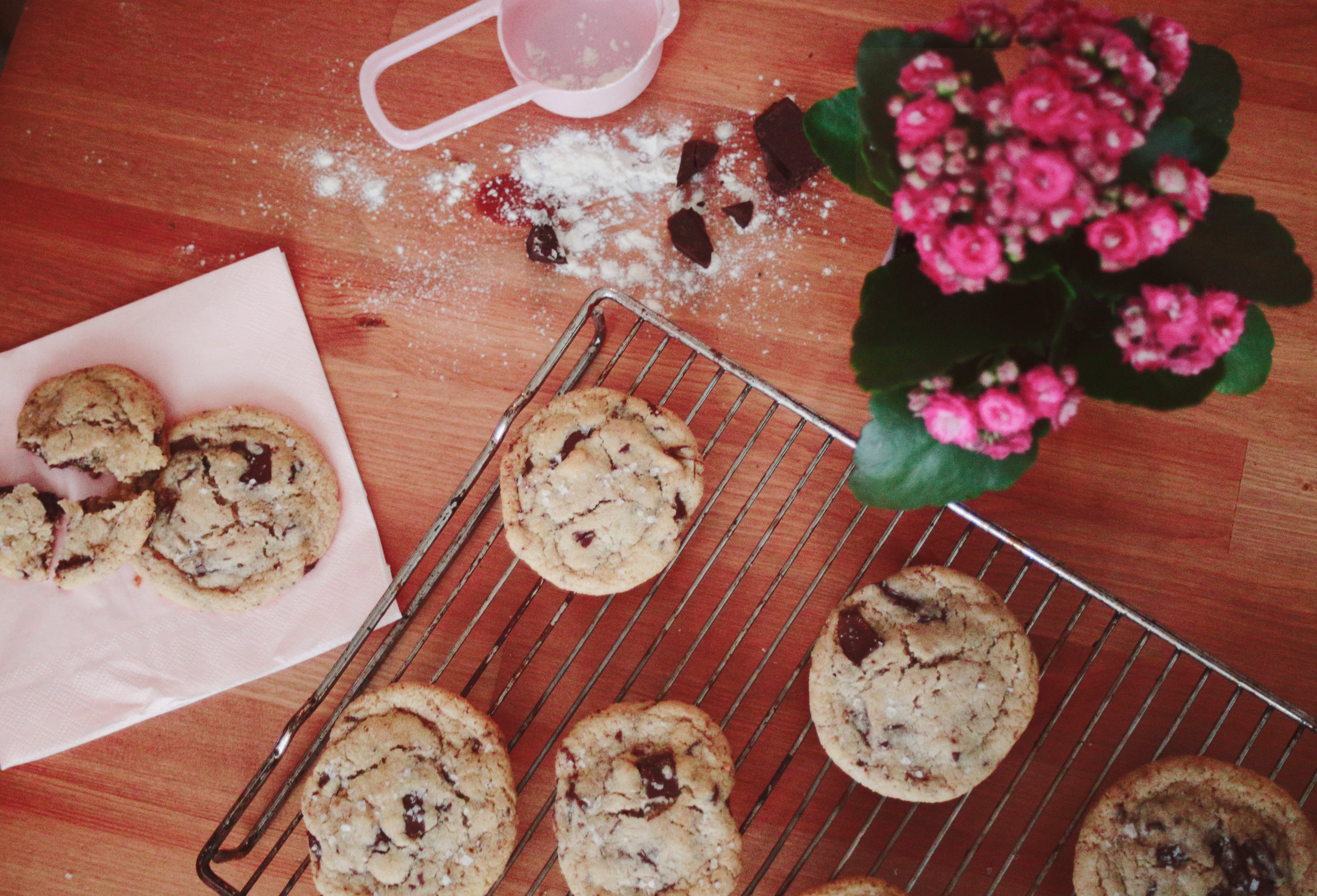 CLEOPATRA | tahini and chocolate chips cookies